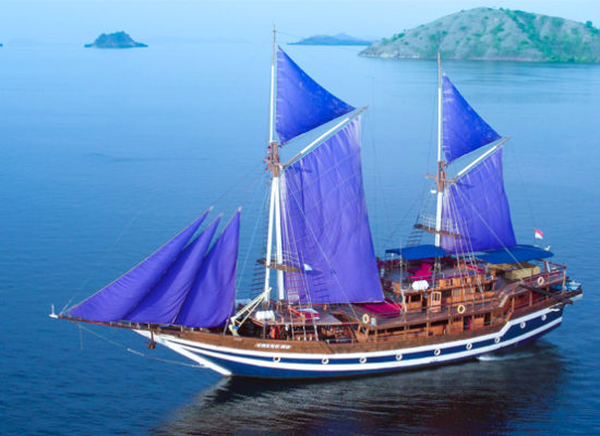 vessel-safari-diving-ceng-h.jpg